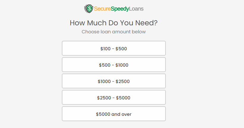 securespeedyloans site